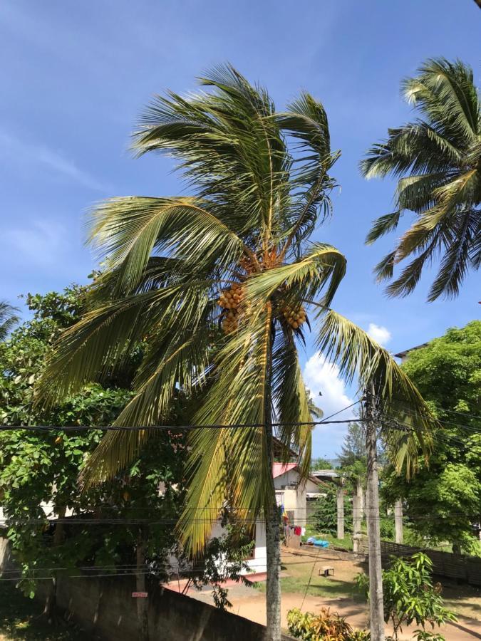 Wh Beach Resort Weligama Exterior foto